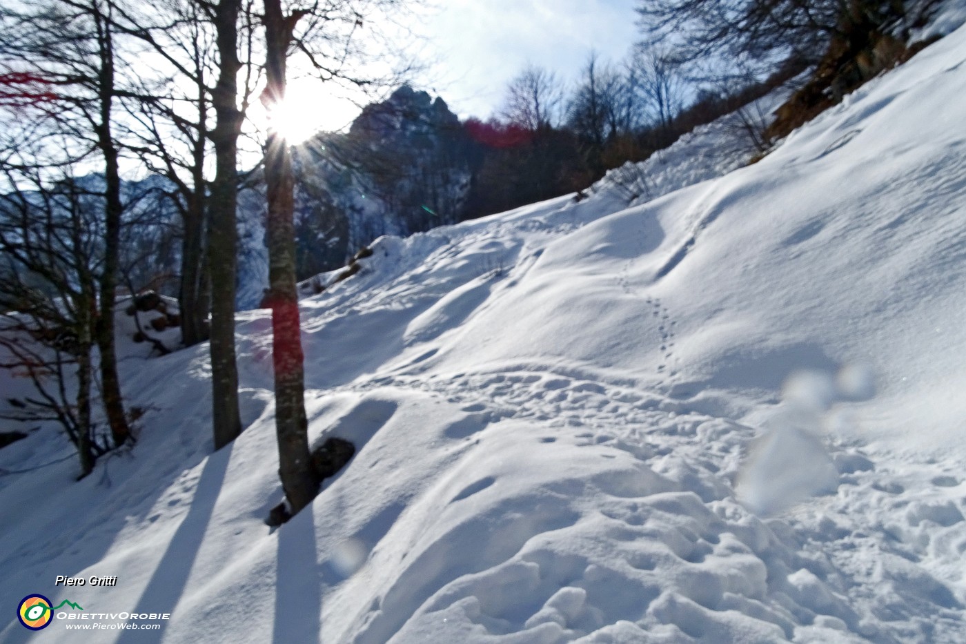 25 Ultimo strappo nel bosco per arrivare al Passo di Grialeggio.JPG -                                
